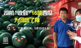 今日吃瓜爆料,娱乐圈最新八卦大揭秘！